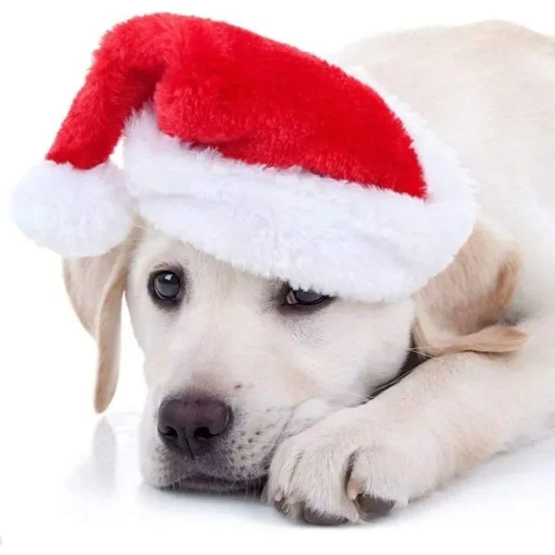 Topi Natal Santa Merah Berbaha - Santa Hat Plush ulasan dan harga