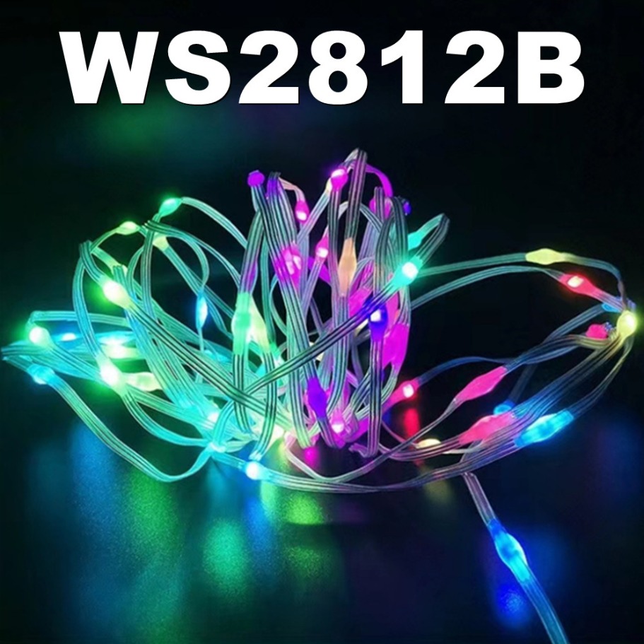 WS2812B Lampu LED Tali Pintar  - Led Fairy String Lights ulasan dan harga