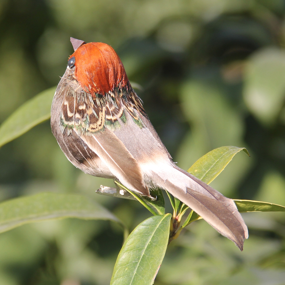 2 Buah Busa Burung Pipit Imita - Christmas Tree Artificial ulasan dan harga
